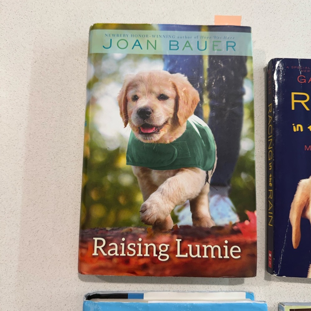 Colorful Book Collection - Picture 2 of 6